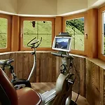 Zillergrundrock Luxury Mountain Hotel 4*